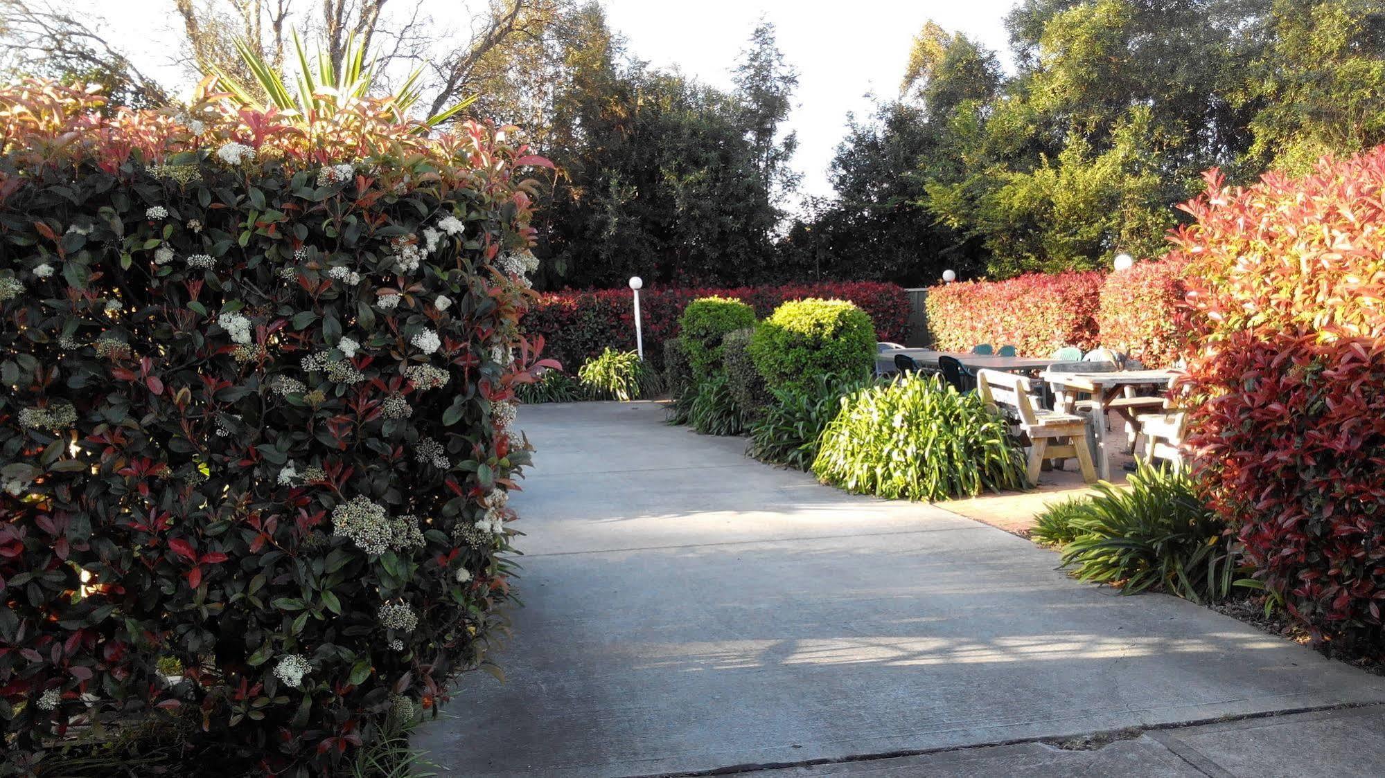 Branxton House Motel Εξωτερικό φωτογραφία